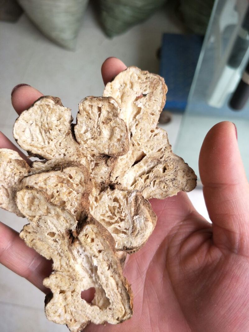 白术片炒白术片