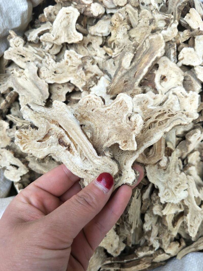 白术片炒白术片