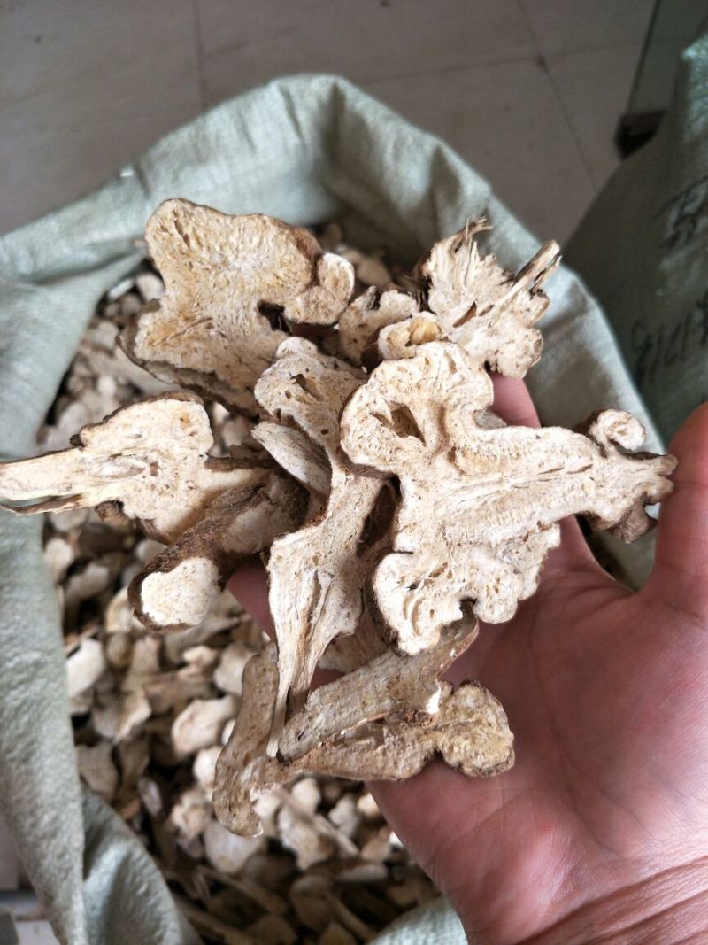 白术片炒白术片