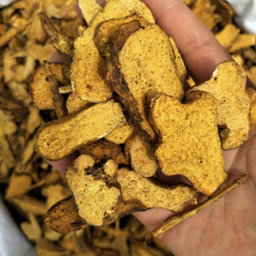 白术片炒白术片