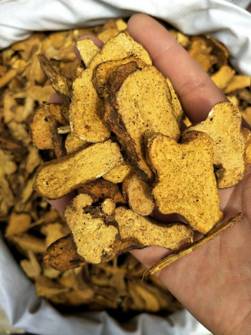 白术片炒白术片