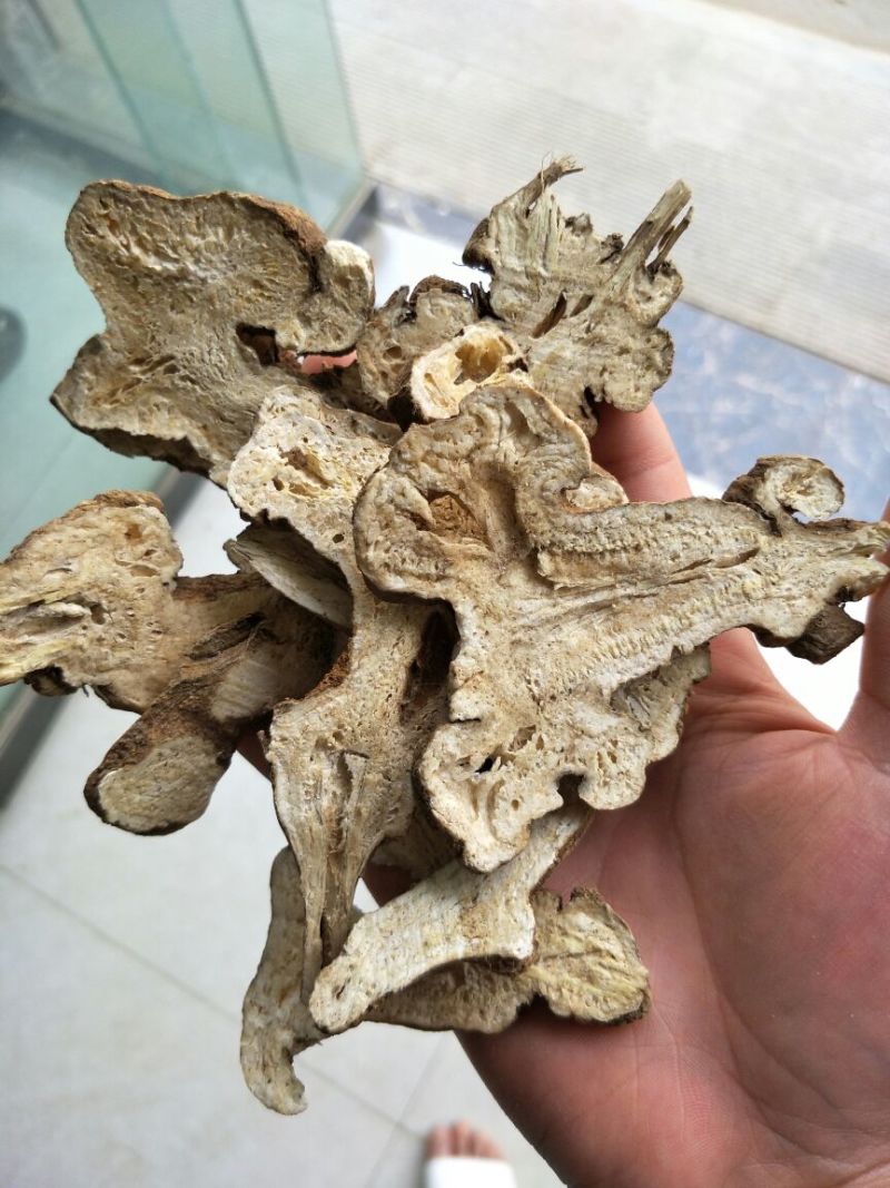白术片炒白术片