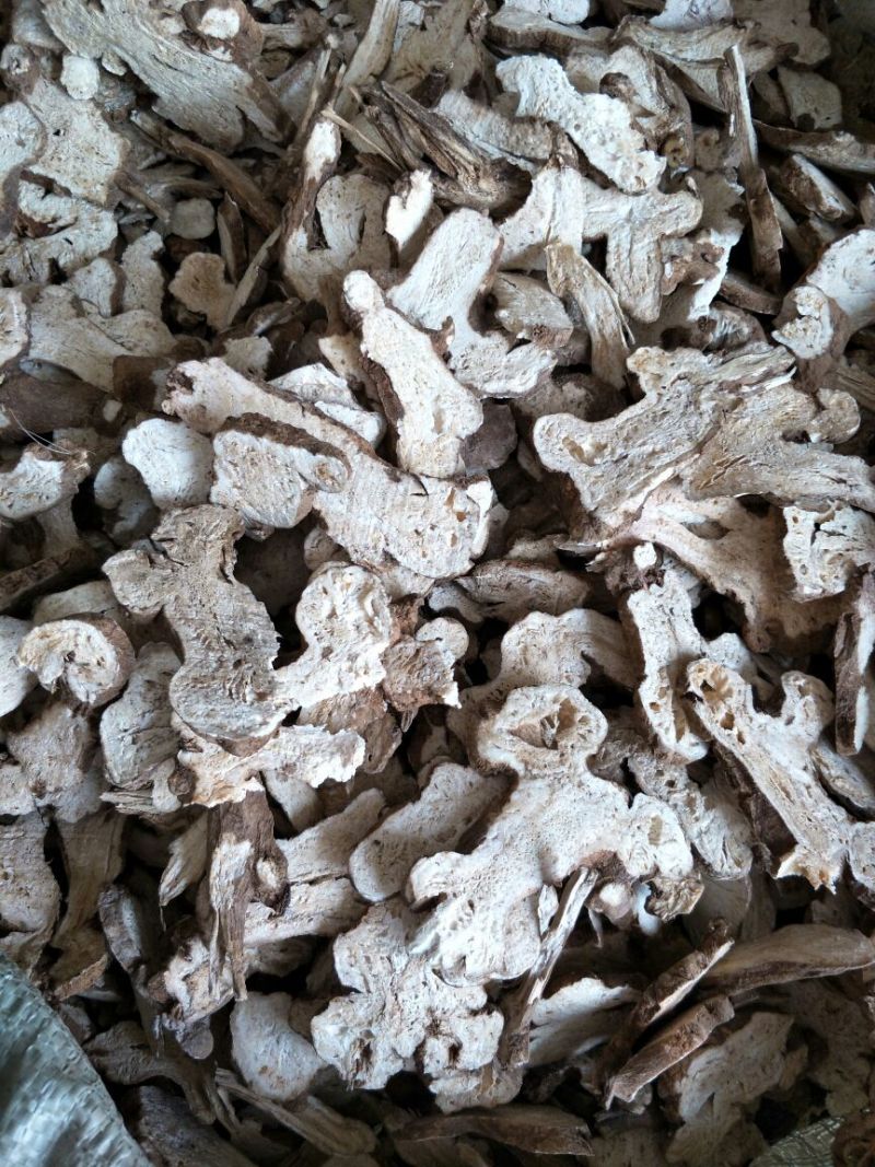 白术片炒白术片