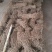 黄芪0.1~0.5cm