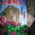 红薯粉条细粉
