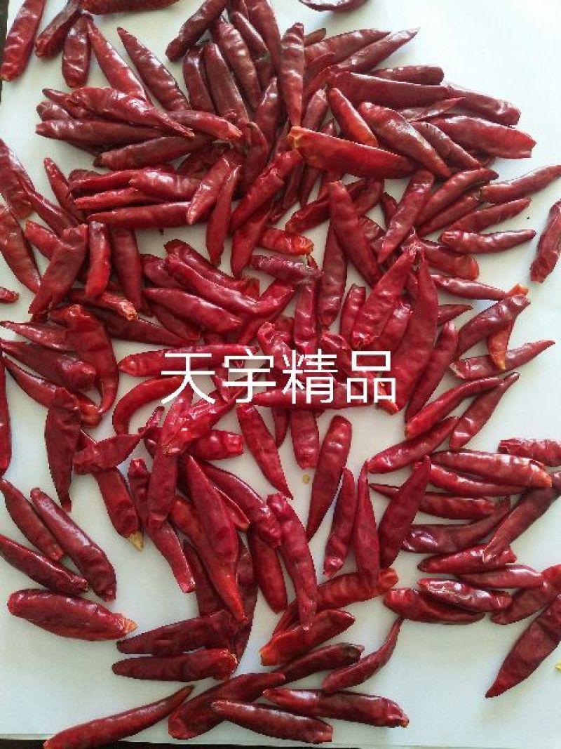 朝天椒干辣椒上通货9成干以上