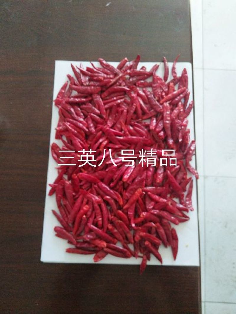 朝天椒干辣椒上通货9成干以上