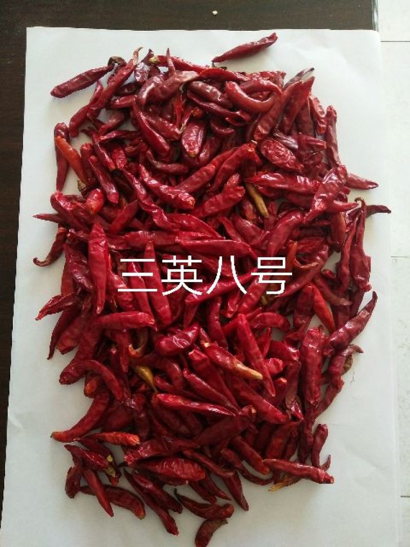 朝天椒干辣椒上通货9成干以上