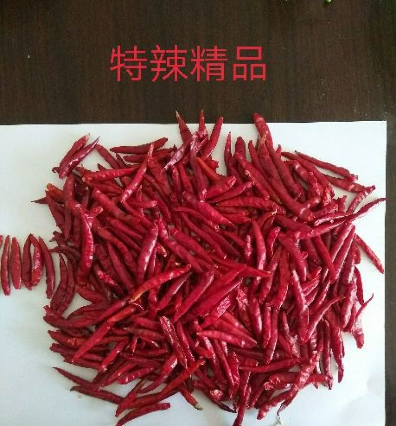 朝天椒干辣椒上通货9成干以上