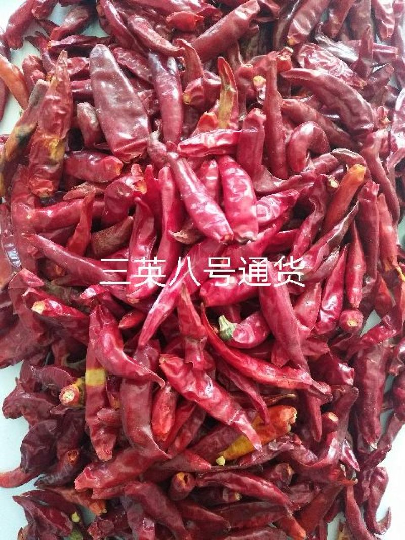 朝天椒干辣椒上通货9成干以上