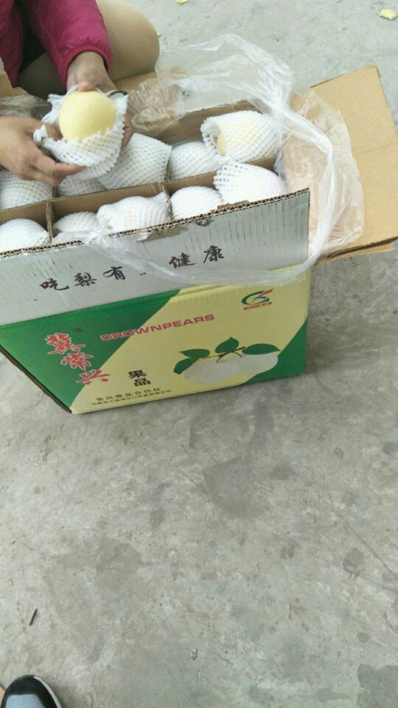 红香酥梨，规格齐全一手货源量大从优代发全国