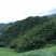 山地101~1000亩10~30年出租