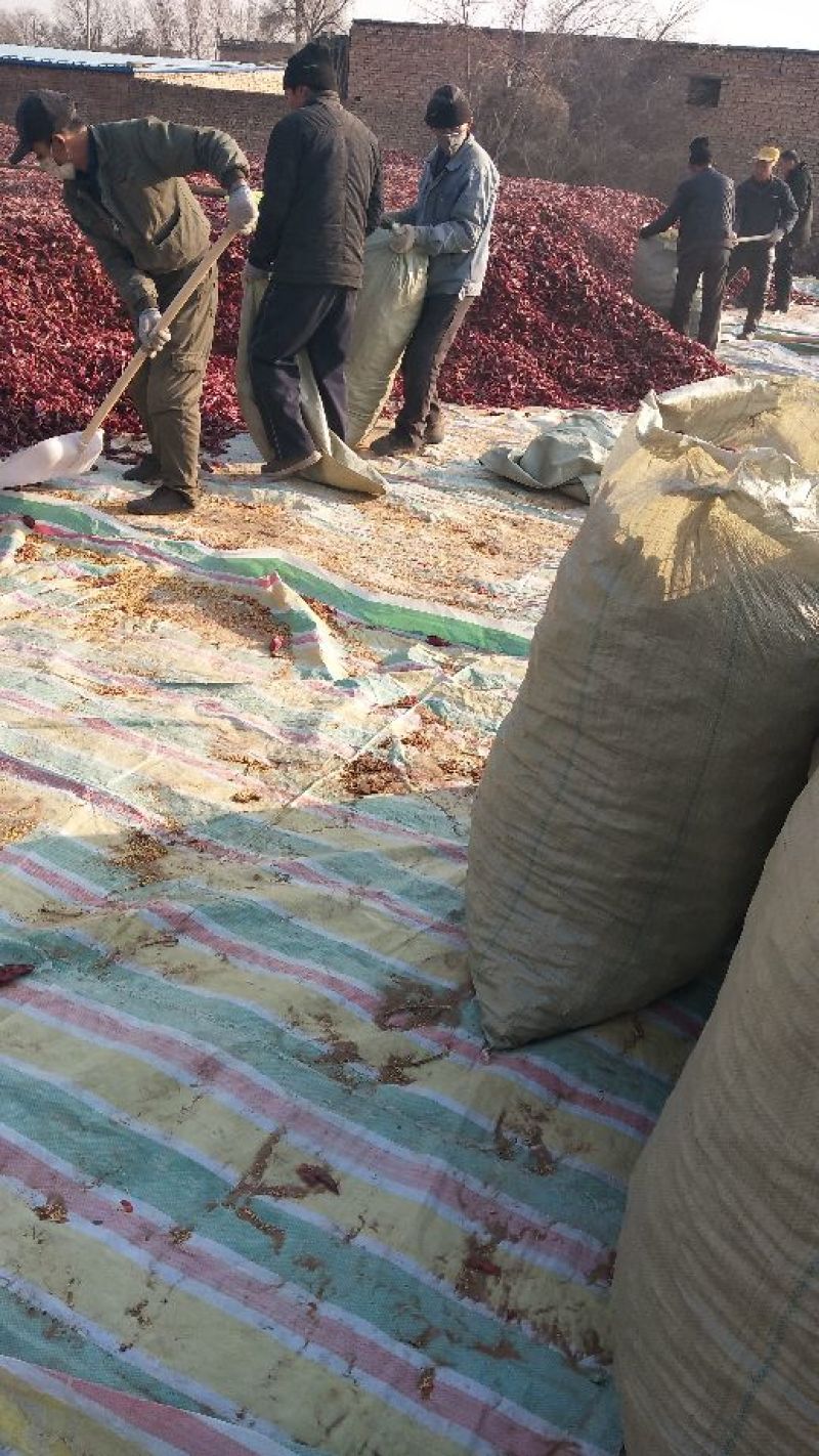 北京红干辣椒北京红干辣椒到地付款