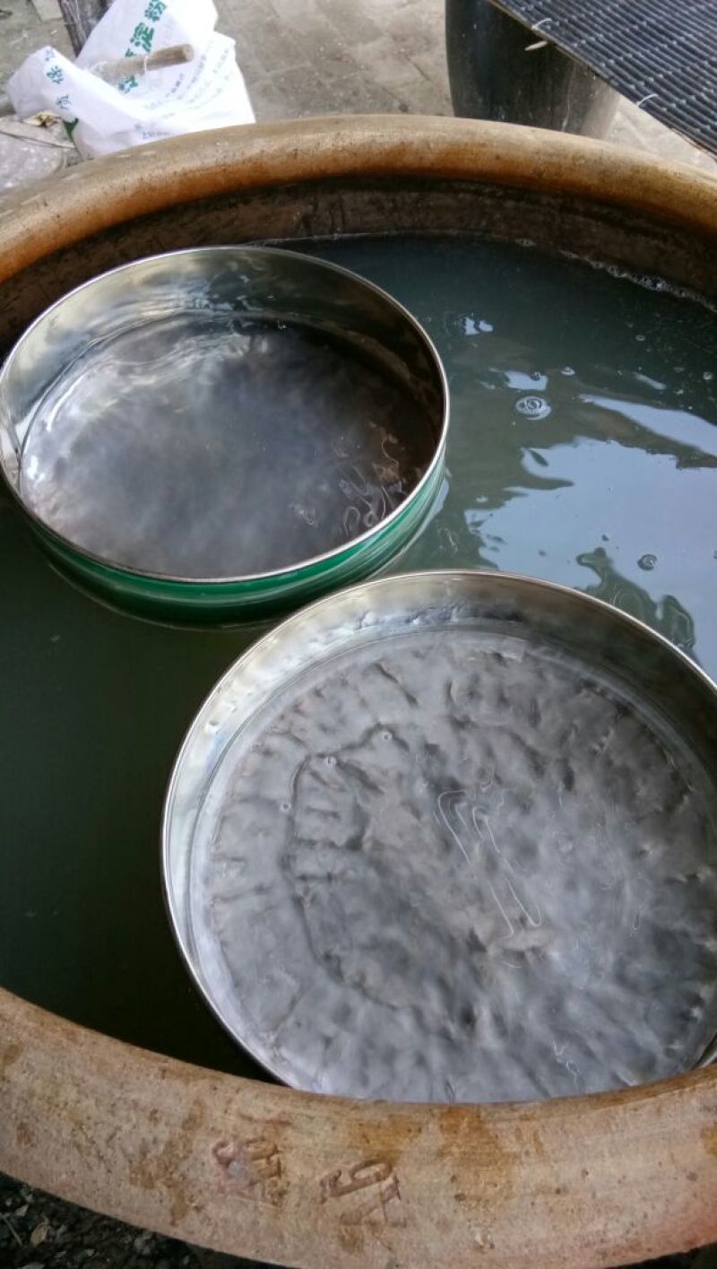绿豆粉皮散装手工粉皮