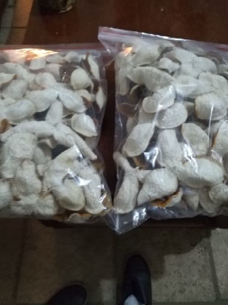 陈皮红桔个