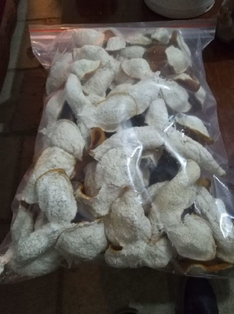 陈皮红桔个