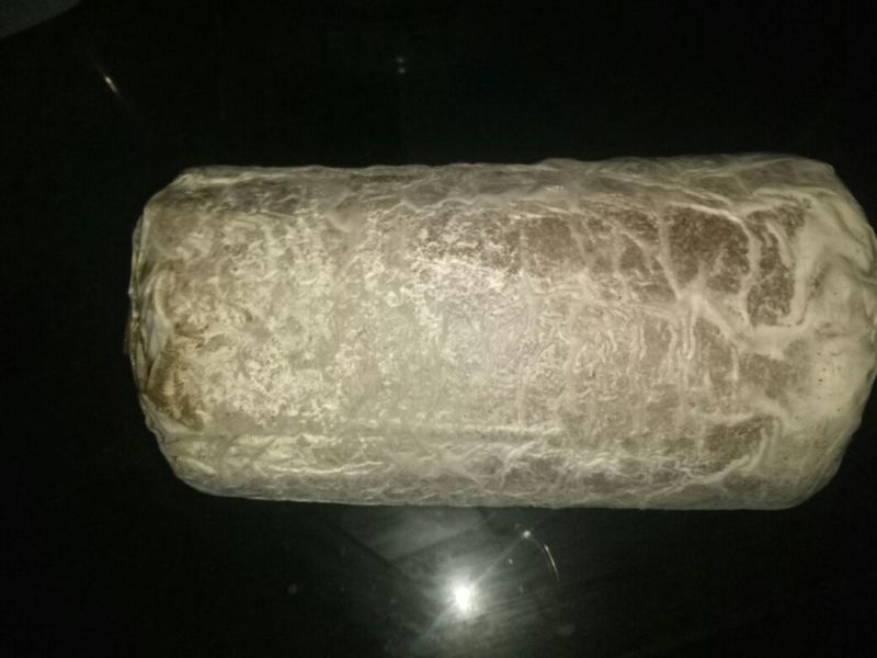 小黑平菇厚5~7cm浅灰色