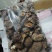 白面菇3cm以上