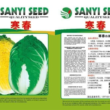 大白菜种子