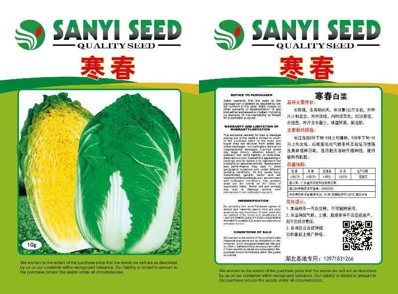 大白菜种子