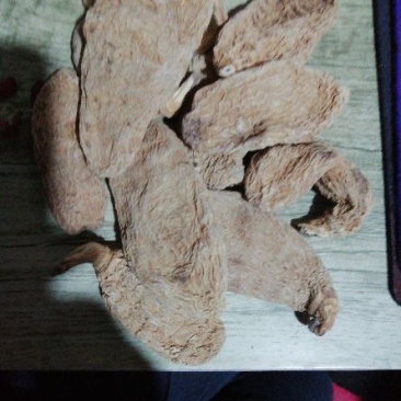 野生天麻一级