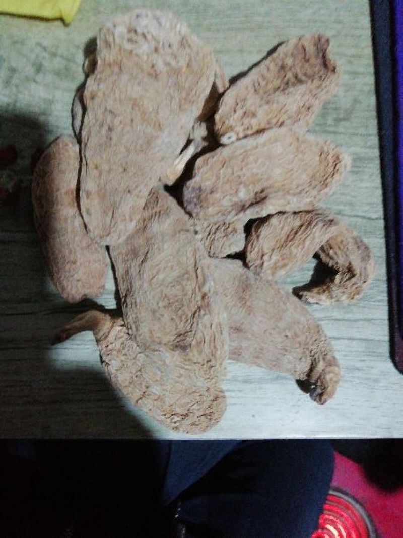 野生天麻一级