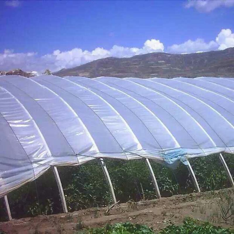 地膜黑色白色地膜！黑白相间地膜银灰地膜可视频看货选货