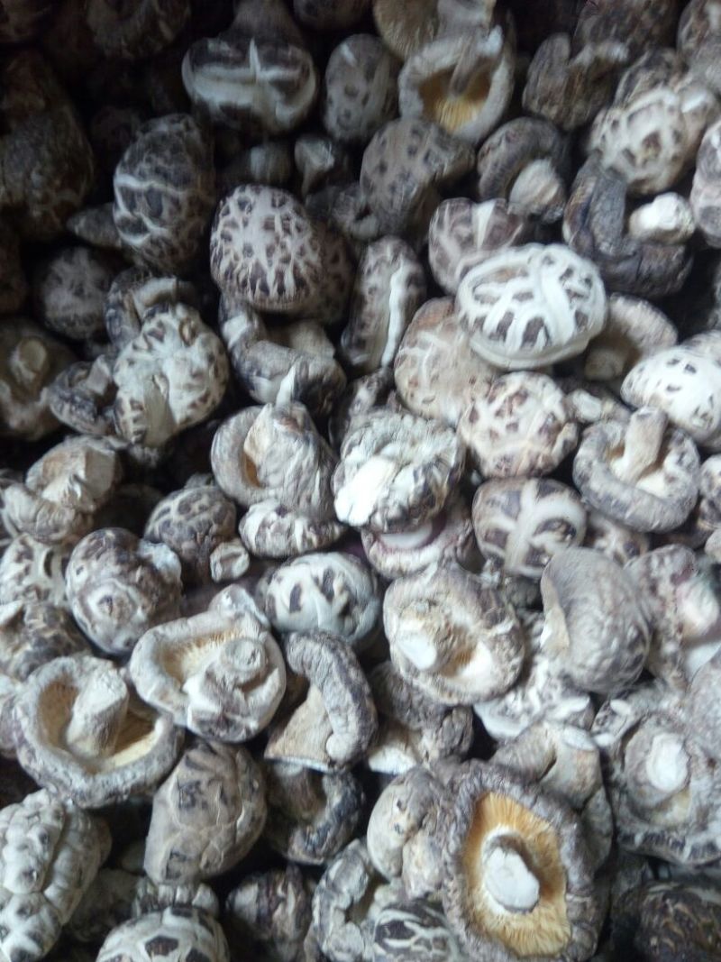 干香菇白花菇湖北随州干香菇，干货量大从优。花菇