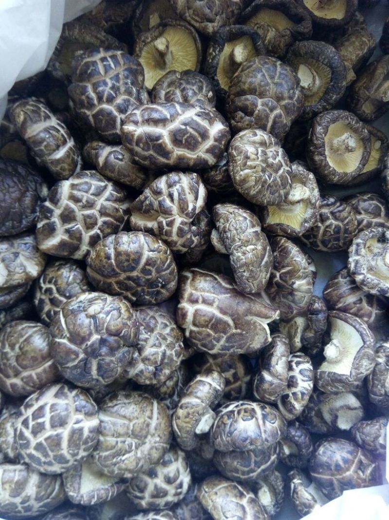 干香菇白花菇湖北随州干香菇，干货量大从优。花菇