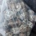 不是河南货，干香菇量大从优，花菇3~4cm
