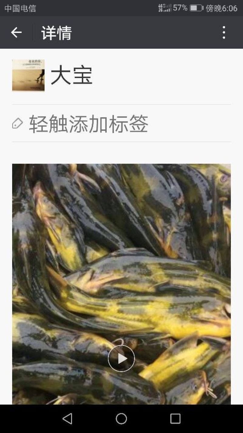 黄颡人工养殖1~3两