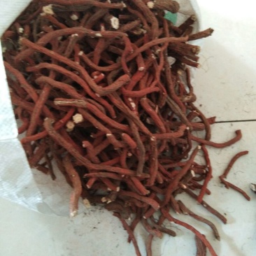 山东丹参大条，丹参片，色红干度好，含量高杂质少，无硫