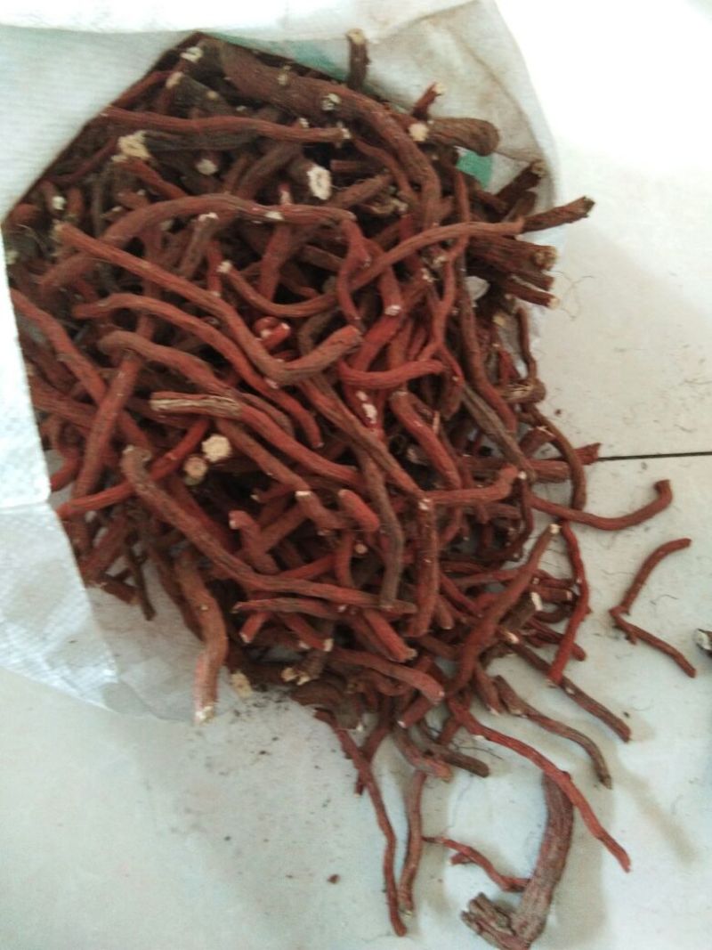 山东丹参大条，丹参片，色红干度好，含量高杂质少，无硫