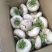 盘菜椭圆形