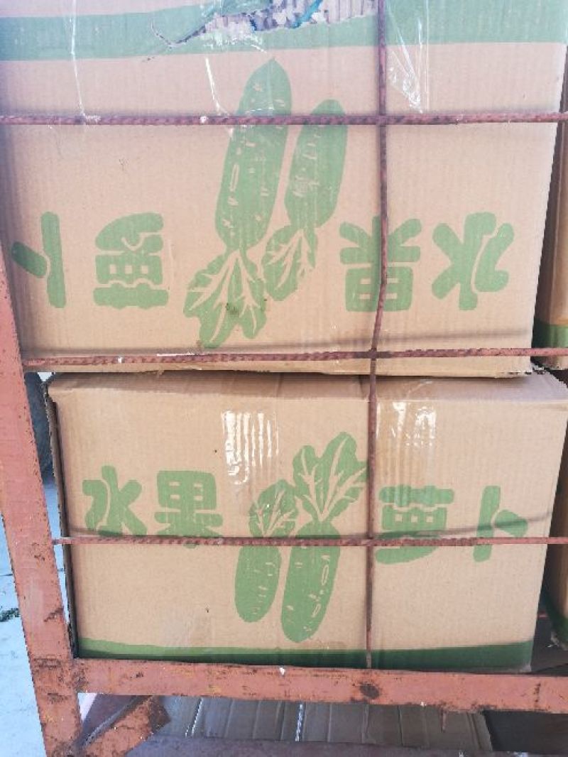 水果萝卜规格齐全清脆爽口，汁多味美1~1.5斤起