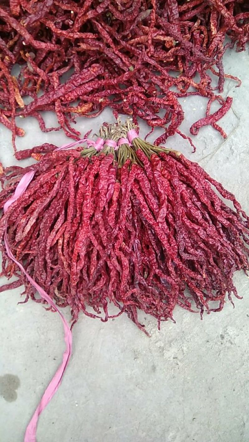 贵州毕节土特产皱椒线椒微辣特香炒菜火锅配料