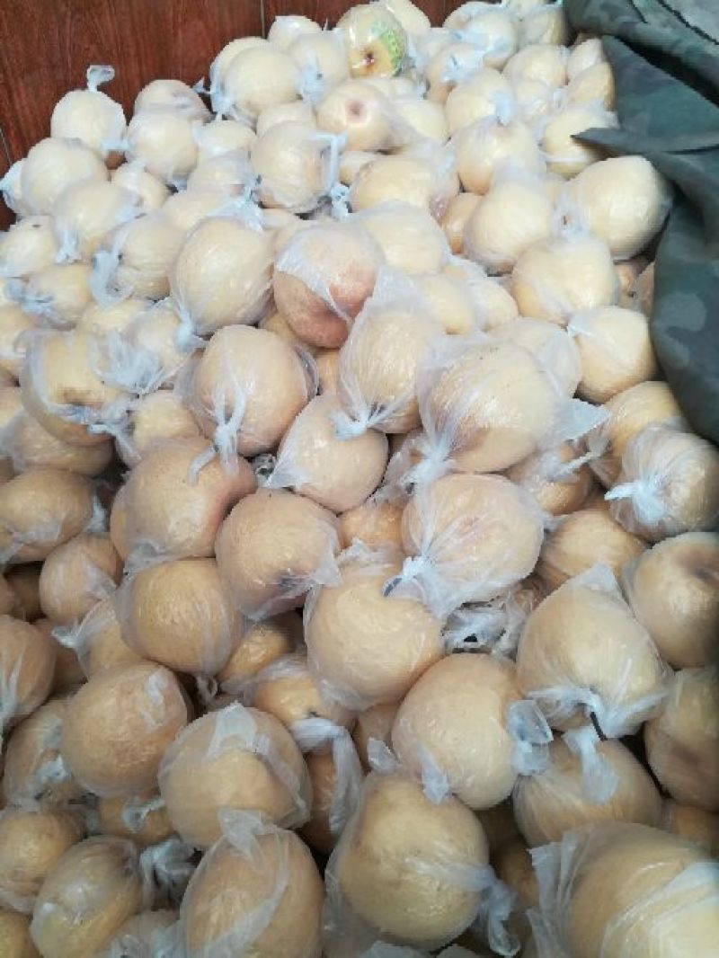 酥梨纸袋150~200g