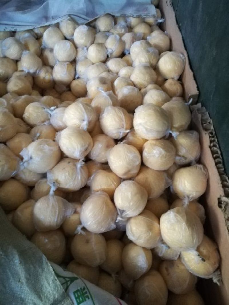 酥梨纸袋150~200g