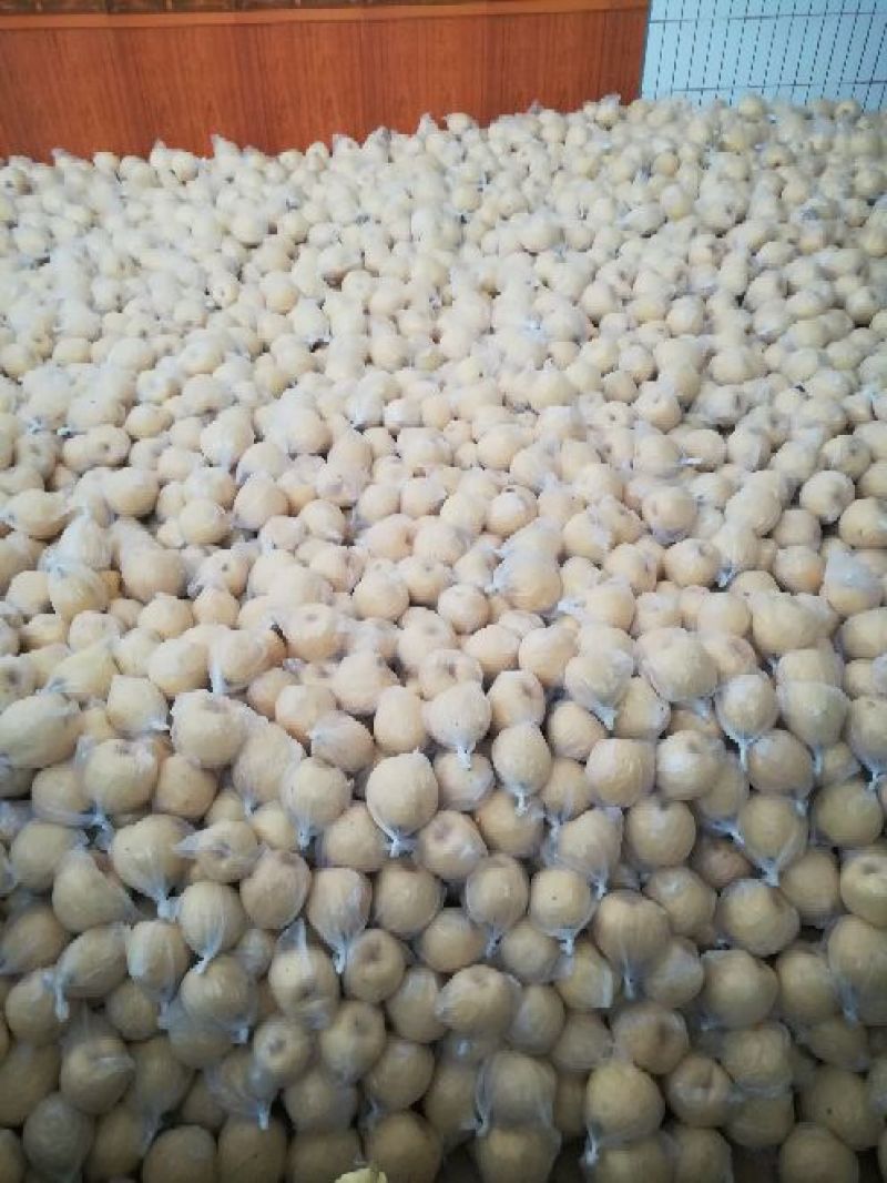 酥梨纸袋150~200g
