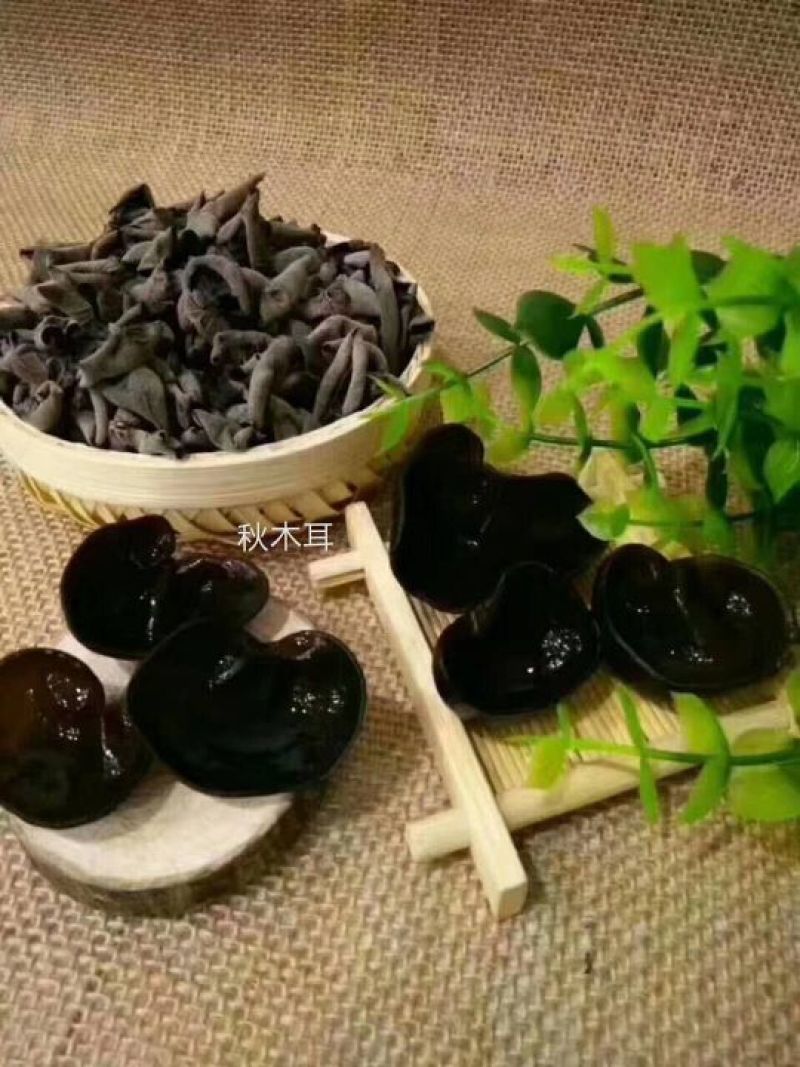黑木耳特级柞木秋木耳一斤起卖包邮产地直供当天发货