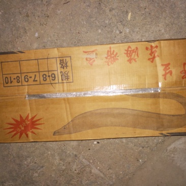 刀鱼食用冻鱼