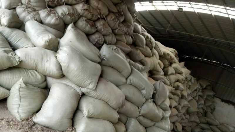 【热卖】河南驻马店原产地花生秧18个月大量售卖基地直发