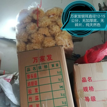 银耳特级