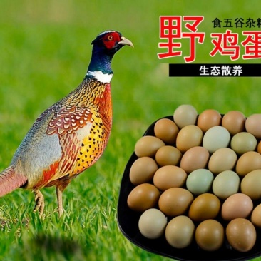 野鸡蛋50g以下食用