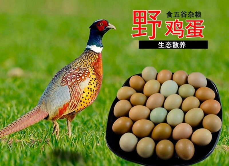 野鸡蛋50g以下食用