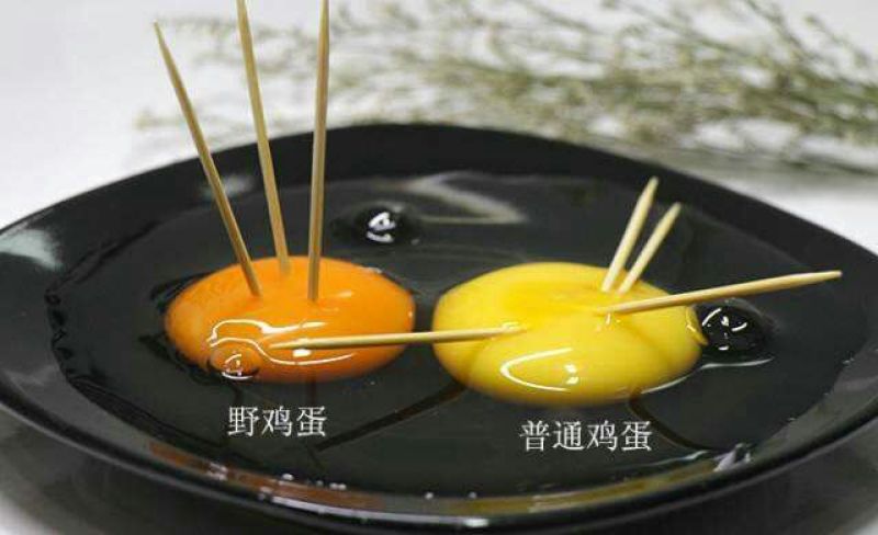 野鸡蛋50g以下食用
