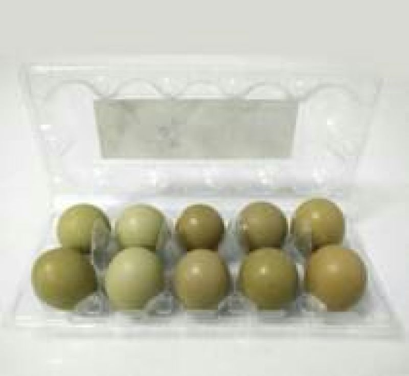 野鸡蛋50g以下食用