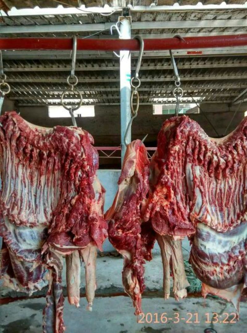 驴肉鲜货