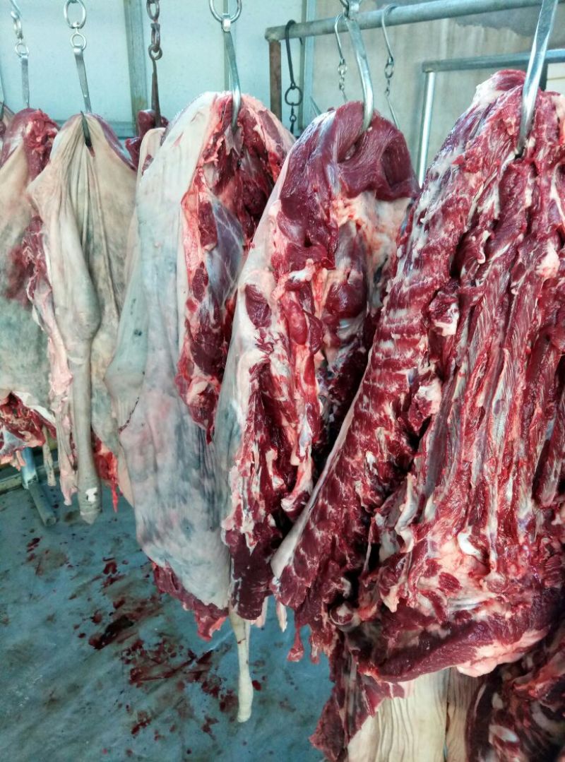 驴肉鲜货