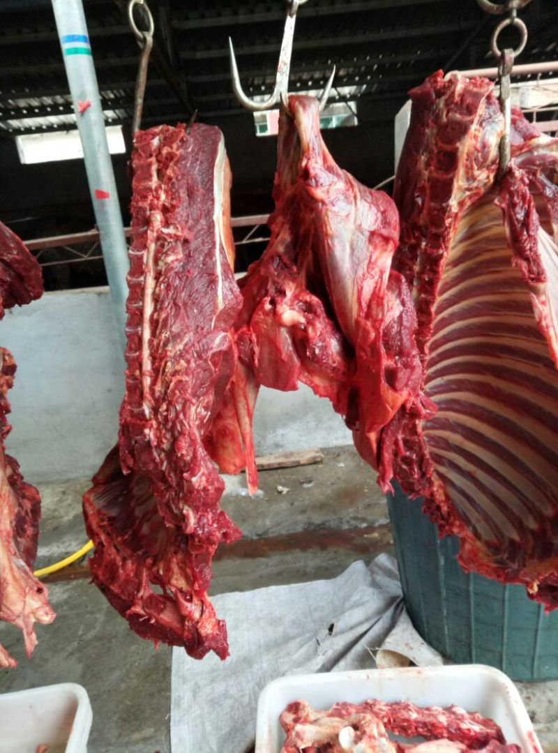 驴肉鲜货